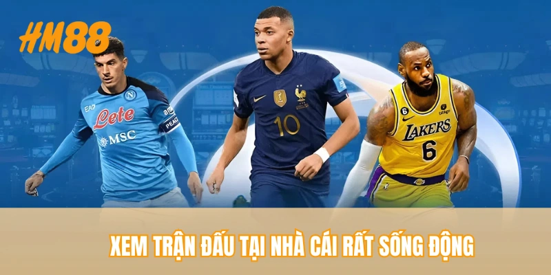 Xem trận đấu tại nhà cái rất sống động